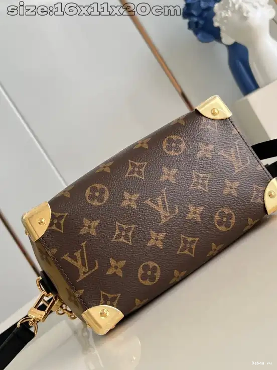Trunk Speedy Vuitton Louis 20 0404